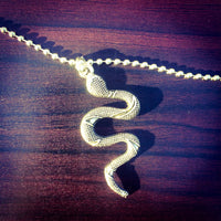 Snake Pendant Necklace / Serpent Charm Necklace